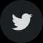 twitterIcon